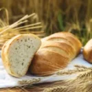 Latest Updates in Global Agriculture