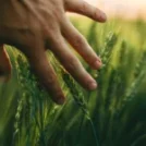 Smart Farming Tools You Need