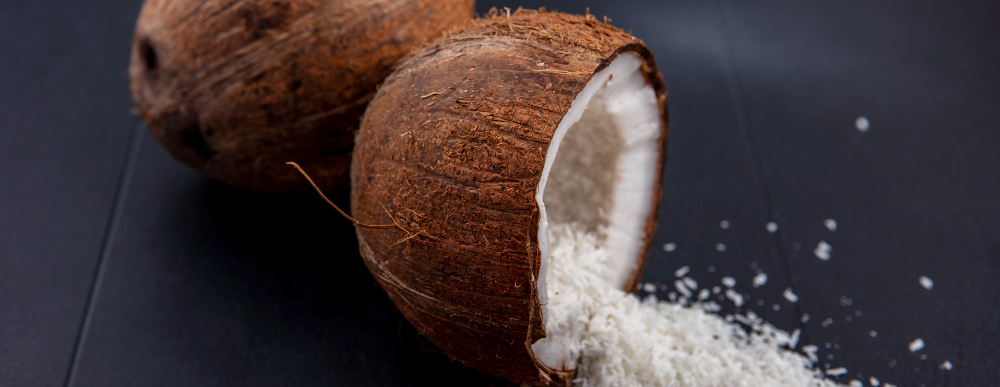 desiccated coconut 540 x 540 (1)